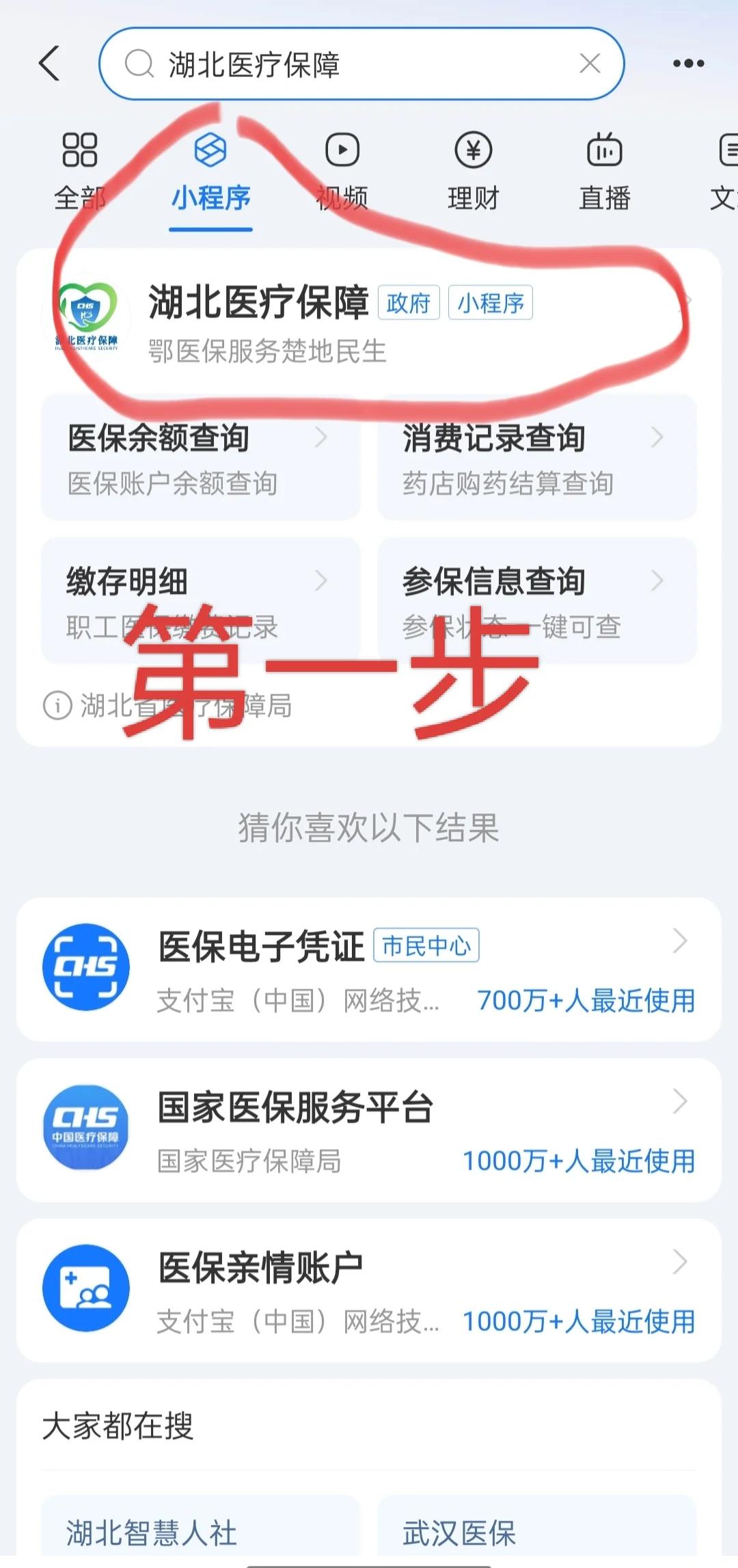 荆州医保网上怎么缴费(孩子居民医保网上怎么缴费)